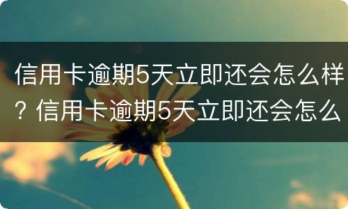 信用卡逾期5天立即还会怎么样? 信用卡逾期5天立即还会怎么样吗