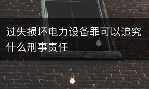 过失损坏电力设备罪可以追究什么刑事责任