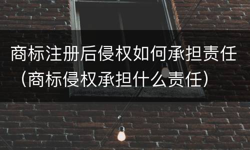 商标注册后侵权如何承担责任（商标侵权承担什么责任）