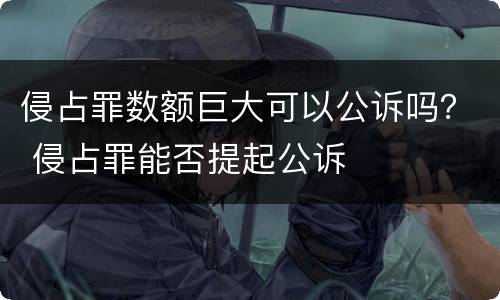 侵占罪数额巨大可以公诉吗？ 侵占罪能否提起公诉