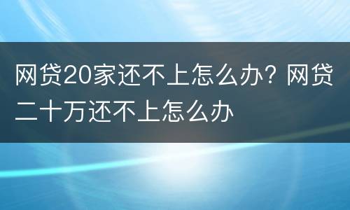 网贷20家还不上怎么办? 网贷二十万还不上怎么办