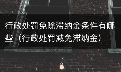 行政处罚免除滞纳金条件有哪些（行政处罚减免滞纳金）