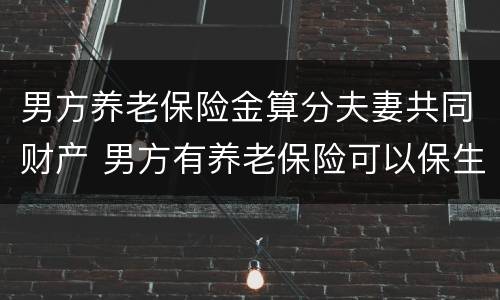 男方养老保险金算分夫妻共同财产 男方有养老保险可以保生育保险吗