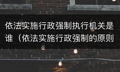 依法实施行政强制执行机关是谁（依法实施行政强制的原则包括）