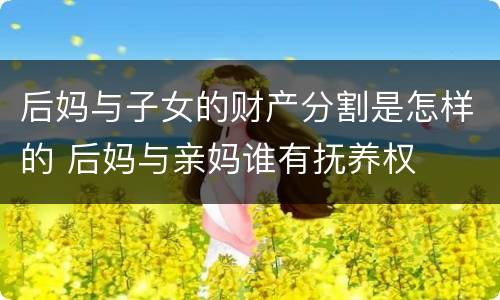 后妈与子女的财产分割是怎样的 后妈与亲妈谁有抚养权