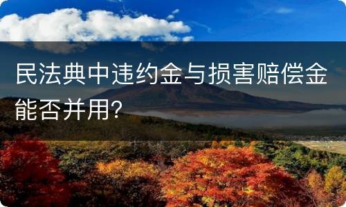 民法典中违约金与损害赔偿金能否并用？