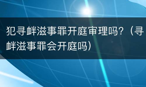 犯寻衅滋事罪开庭审理吗?（寻衅滋事罪会开庭吗）