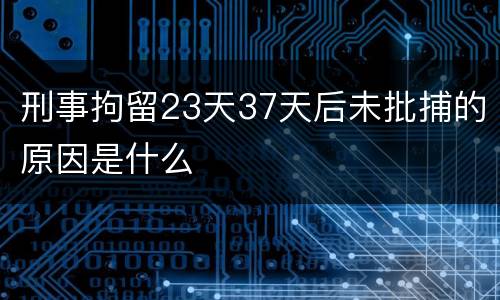 刑事拘留23天37天后未批捕的原因是什么