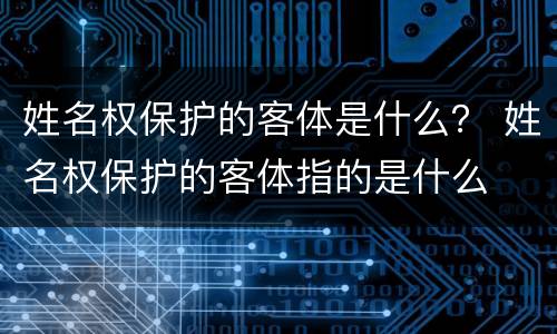 姓名权保护的客体是什么？ 姓名权保护的客体指的是什么