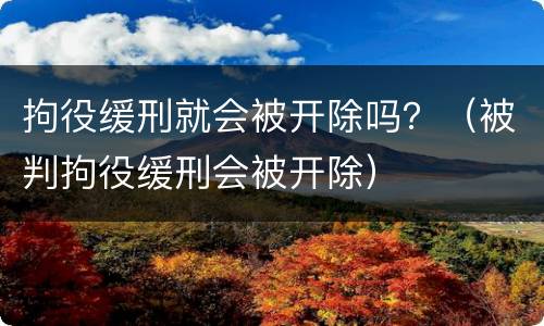 拘役缓刑就会被开除吗？（被判拘役缓刑会被开除）