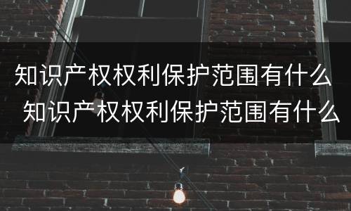 知识产权权利保护范围有什么 知识产权权利保护范围有什么意义