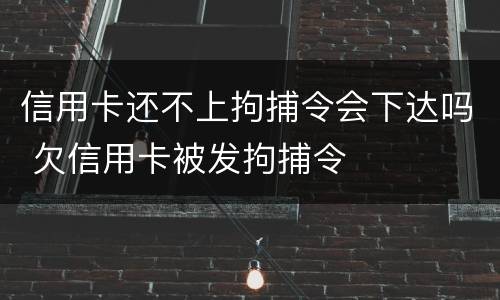 信用卡还不上拘捕令会下达吗 欠信用卡被发拘捕令