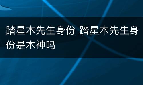 踏星木先生身份 踏星木先生身份是木神吗