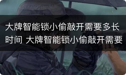 大牌智能锁小偷敲开需要多长时间 大牌智能锁小偷敲开需要多长时间完成