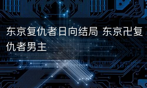 东京复仇者日向结局 东京卍复仇者男主