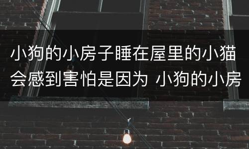 小狗的小房子睡在屋里的小猫会感到害怕是因为 小狗的小房子睡在屋里的小猫会感到害怕为什么