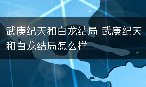 武庚纪天和白龙结局 武庚纪天和白龙结局怎么样