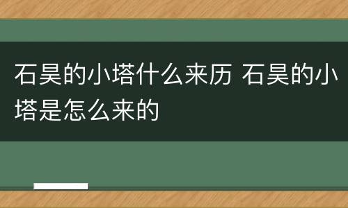 石昊的小塔什么来历 石昊的小塔是怎么来的