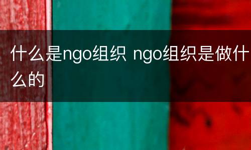 什么是ngo组织 ngo组织是做什么的