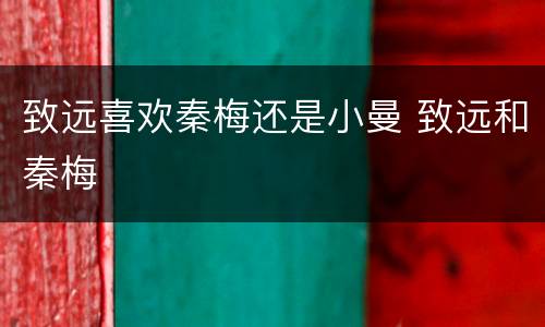 致远喜欢秦梅还是小曼 致远和秦梅