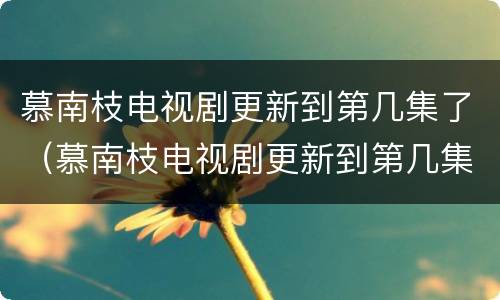 慕南枝电视剧更新到第几集了（慕南枝电视剧更新到第几集了啊）