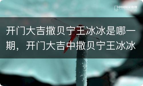 开门大吉撒贝宁王冰冰是哪一期，开门大吉中撒贝宁王冰冰是在哪一期