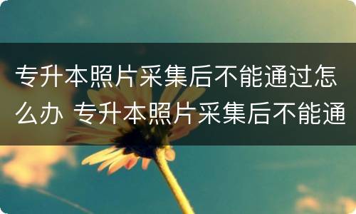 专升本照片采集后不能通过怎么办 专升本照片采集后不能通过怎么办呢