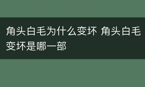 角头白毛为什么变坏 角头白毛变坏是哪一部