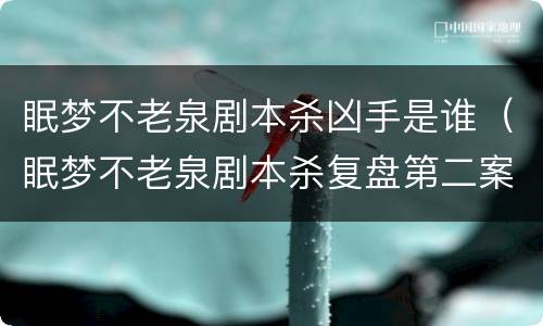 眠梦不老泉剧本杀凶手是谁（眠梦不老泉剧本杀复盘第二案）