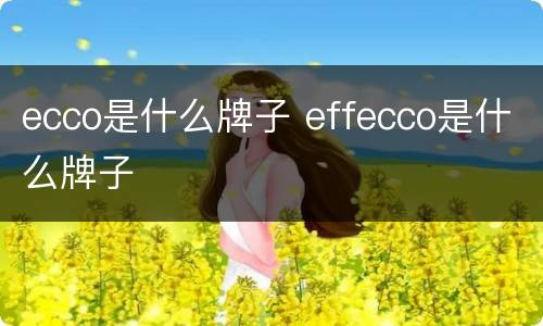 ecco是什么牌子 effecco是什么牌子