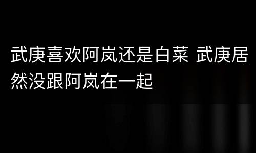 武庚喜欢阿岚还是白菜 武庚居然没跟阿岚在一起