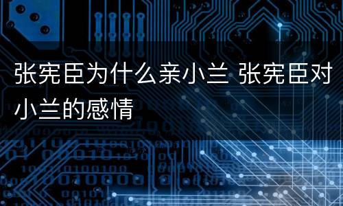 张宪臣为什么亲小兰 张宪臣对小兰的感情