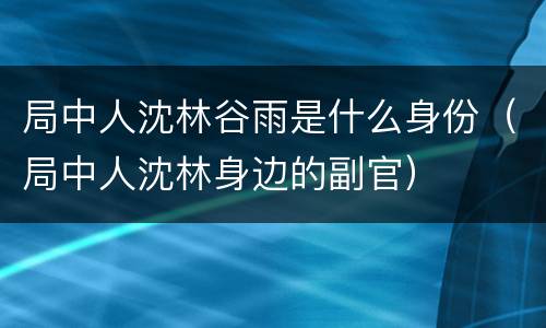 局中人沈林谷雨是什么身份（局中人沈林身边的副官）