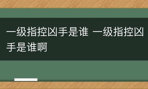 一级指控凶手是谁 一级指控凶手是谁啊