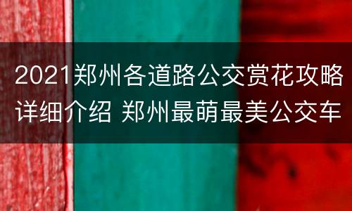 2021郑州各道路公交赏花攻略详细介绍 郑州最萌最美公交车