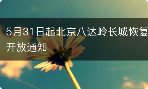 5月31日起北京八达岭长城恢复开放通知