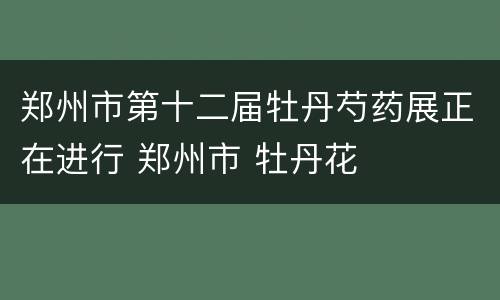 郑州市第十二届牡丹芍药展正在进行 郑州市 牡丹花