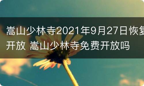 嵩山少林寺2021年9月27日恢复开放 嵩山少林寺免费开放吗