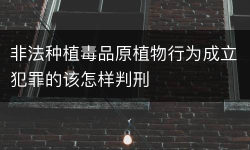 非法种植毒品原植物行为成立犯罪的该怎样判刑