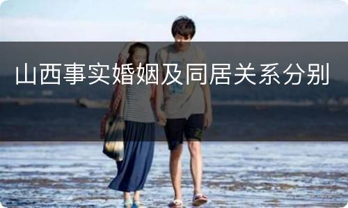 山西事实婚姻及同居关系分别