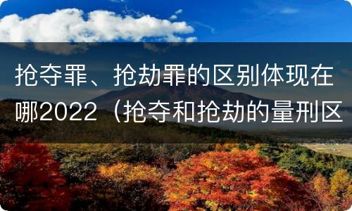 抢夺罪、抢劫罪的区别体现在哪2022（抢夺和抢劫的量刑区别）