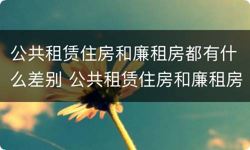 公共租赁住房和廉租房都有什么差别 公共租赁住房和廉租房的区别