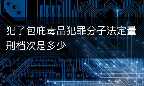 犯了包庇毒品犯罪分子法定量刑档次是多少