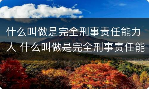 什么叫做是完全刑事责任能力人 什么叫做是完全刑事责任能力人员