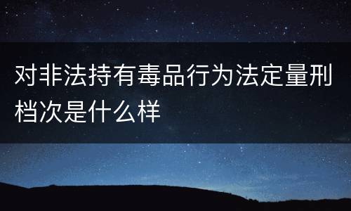 对非法持有毒品行为法定量刑档次是什么样