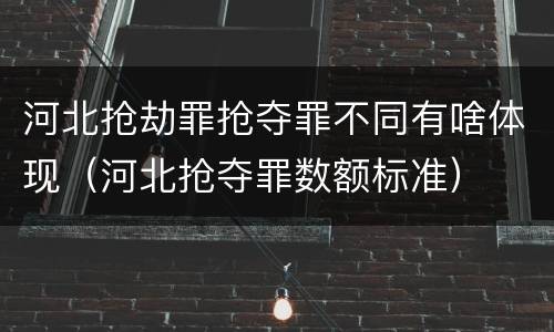 河北抢劫罪抢夺罪不同有啥体现（河北抢夺罪数额标准）