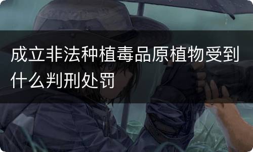 成立非法种植毒品原植物受到什么判刑处罚