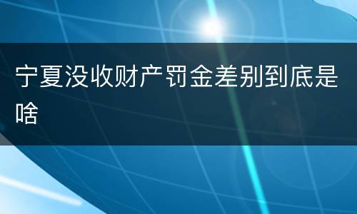 宁夏没收财产罚金差别到底是啥