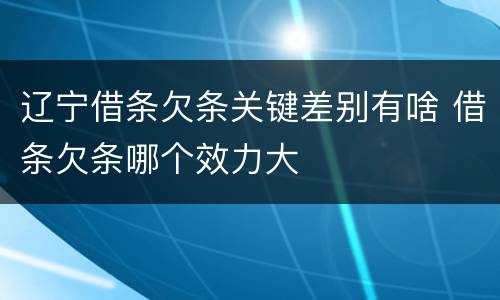 辽宁借条欠条关键差别有啥 借条欠条哪个效力大