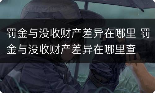 罚金与没收财产差异在哪里 罚金与没收财产差异在哪里查